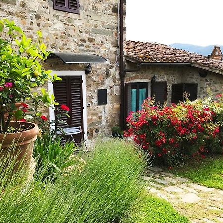 Montebeni Apartments Greve in Chianti Zewnętrze zdjęcie